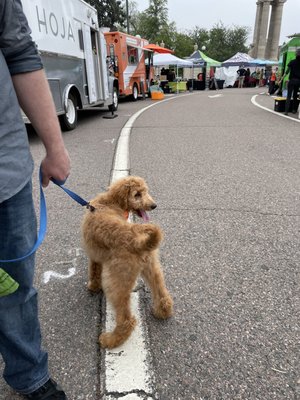 City Park Farmers Market by null