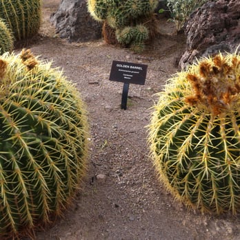 Ethel M Chocolates - Botanical Gardens Near Me - Henderson, Nevada