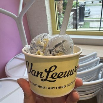Van Leeuwen Ice Cream - Ice Cream & Frozen Yogurt Near Me - Nashville, Tennessee