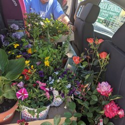 Garden Springs Nursery and Fruit Stand - Full truck