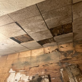 Your Local Handy Matt - Be wary of what could be hiding under your old wood paneling. - Handyman Near Me Your Local Handy Matt - Be wary of what could be hiding under your old wood paneling. - Handyman Near Me