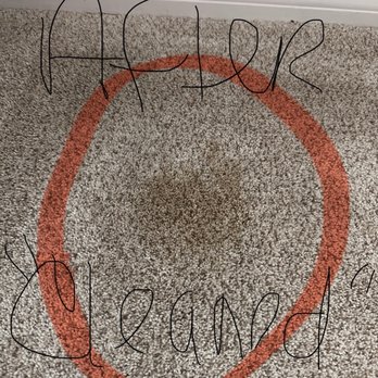 Dan Dan The Carpet Man - a spot that was left AFTER Dan Dan cleaned - Please see the picture of how it cleaned up after I simply wiped it with a Clorox wipe. - Carpet Cleaning Near Me - Orlando, Florida Dan Dan The Carpet Man - a spot that was left AFTER Dan Dan cleaned - Please see the picture of how it cleaned up after I simply wiped it with a Clorox wipe. - Carpet Cleaning Near Me - Orlando, Florida