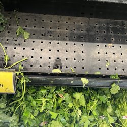 ACME Markets