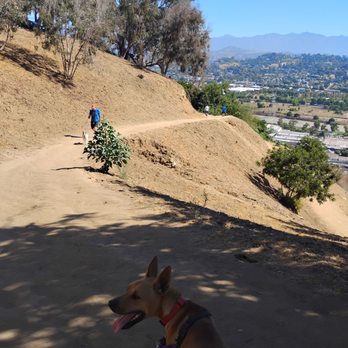Elysian Park West Trail Loop Trailhead - Hiking Near Me - Los Angeles, California