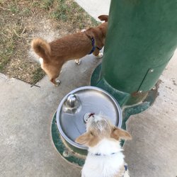 Euless Dog Park - Water fountain for dogs