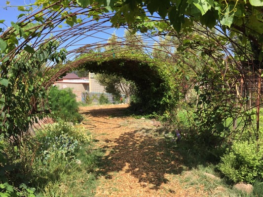 Edible Schoolyard Berkeley by null