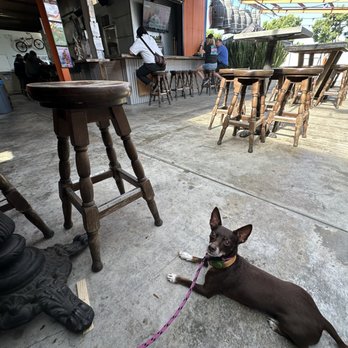 Tortugo Brewing - Dog friendly - Breweries Near Me - Inglewood, California