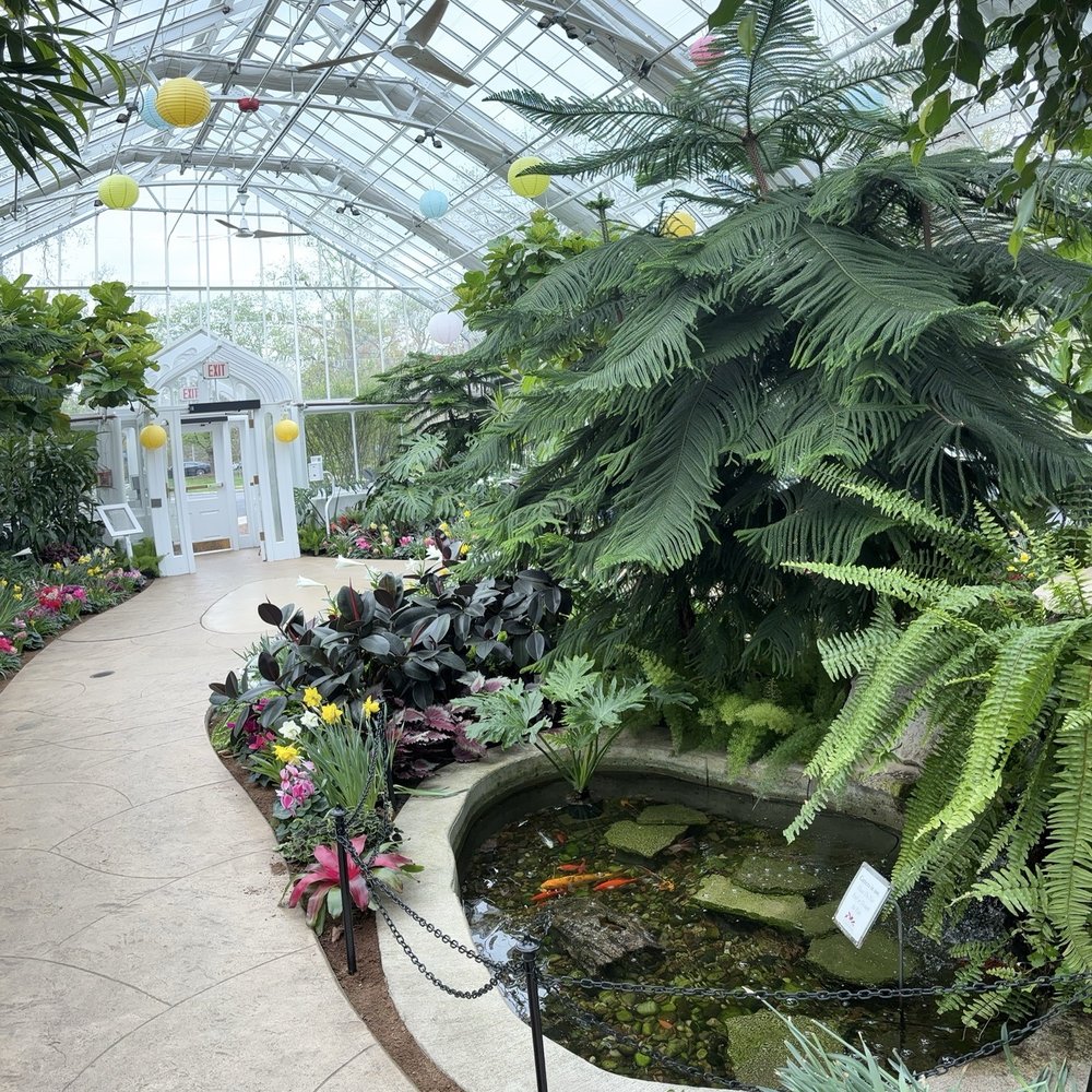 Wilder Park Conservatory - Coy pond - Botanical Gardens Near Me - Elmhurst, Illinois Wilder Park Conservatory - Coy pond - Botanical Gardens Near Me - Elmhurst, Illinois
