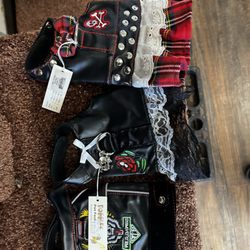Perfect Paws - Finally found something for our tiny pups!  Great atmosphere, will definitely be back.