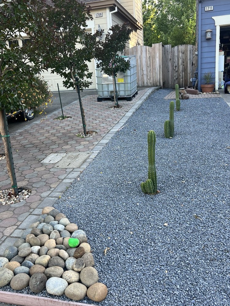 MIX Garden - beekeeping in Healdsburg, CA