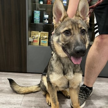 Perfect Union Cannabis Dispensary - Pet friendly - Cannabis Dispensaries Near Me - Turlock, California Perfect Union Cannabis Dispensary - Pet friendly - Cannabis Dispensaries Near Me - Turlock, California