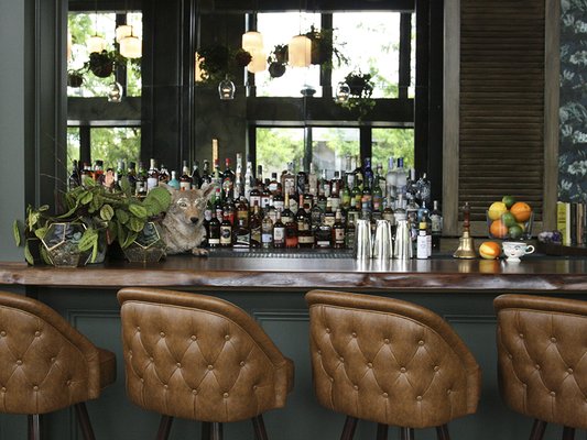 Water Bear Bar by null