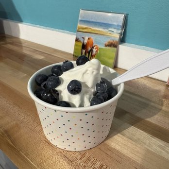 Nauti Cow - Banana with fresh blueberry topping - Ice Cream & Frozen Yogurt Near Me - Oak Bluffs, Massachusetts Nauti Cow - Banana with fresh blueberry topping - Ice Cream & Frozen Yogurt Near Me - Oak Bluffs, Massachusetts