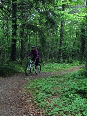 Fundy National Park Of Canada by null