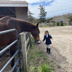 DDR Farms - Our little one getting ready to compete