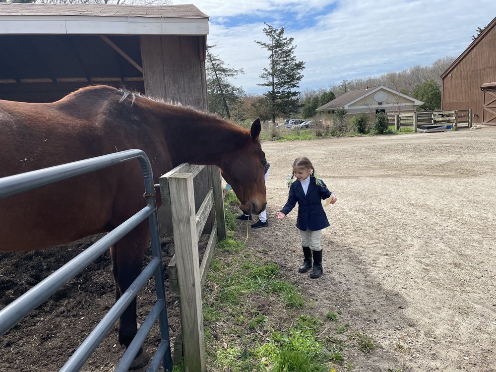 DDR FARMS - Updated July 2026 - 412 Sweet Hollow Rd, Melville, New York ...