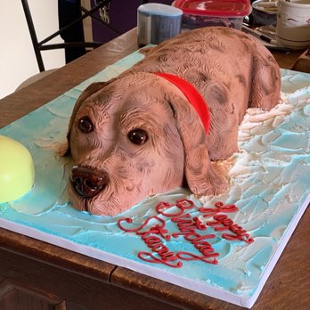 Cakes Plus - Amazing......Joey the Labradoodle in the pool!  Chocolate cake (2 layers) with buttercream icing).  Fantastic! - Bakeries Near Me - Laurel, Maryland