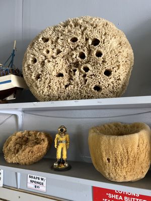 Spongeorama Sponge Factory by null