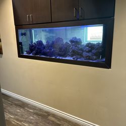 Centers of Rehabilitation and Pain Medicine - Nice fish tank