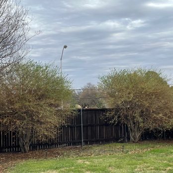 Lorenzo’s Tree Services - Removed tree - Tree Services Near Me Lorenzo’s Tree Services - Removed tree - Tree Services Near Me