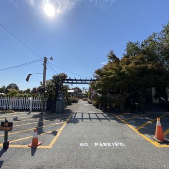 Regan Nursery - Nurseries & Gardening Near Me - Fremont, California Regan Nursery - Nurseries & Gardening Near Me - Fremont, California