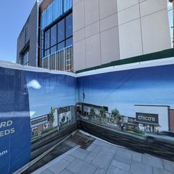 The Bay Terrace