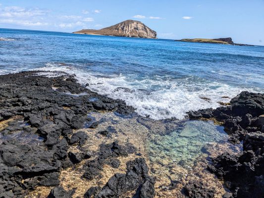 Makapuu Beach Park by null
