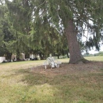 Granite Heights Winery - This guy had too much wine and couldn't get up - Wineries Near Me - Warrenton, Virginia Granite Heights Winery - This guy had too much wine and couldn't get up - Wineries Near Me - Warrenton, Virginia