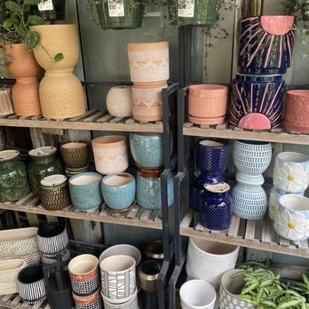 Zoom Bloomz - Florists Near Me - Miami, Florida