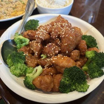 Yummy House - Sesame Chicken - Chinese Near Me - Altamonte Springs, Florida Yummy House - Sesame Chicken - Chinese Near Me - Altamonte Springs, Florida