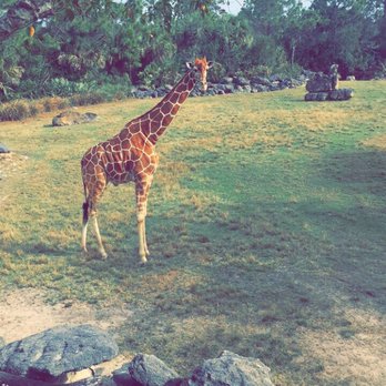 Brevard Zoo - Zoos Near Me - Melbourne, Florida