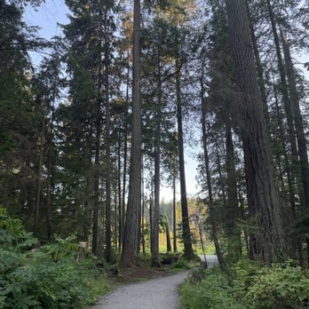 Stanley Park - Several walking trails - Parks Near Me - Vancouver, British Columbia