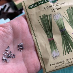 Pieces of metal ... trying to pass as seeds.... I was wondering why they never grew.