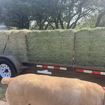 J & B Feed & Hay - Livestock Feed & Supply Near Me - Austin, Texas J & B Feed & Hay - Livestock Feed & Supply Near Me - Austin, Texas