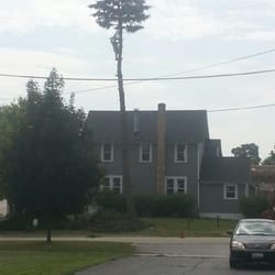 National Tree Service