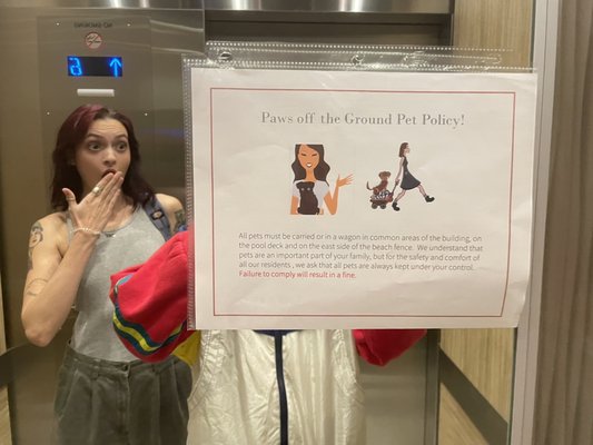 Palm Beach House Condominium by null