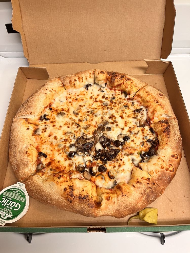 Papa Johns Pizza Logo