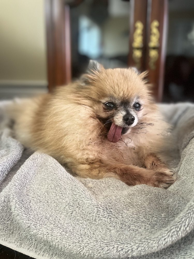 BROADWAY VETERINARY CARE 14 Photos & 44 Reviews 1598 Broadway