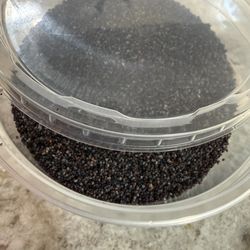 Container of poppy seeds purchased at European Delicatessen