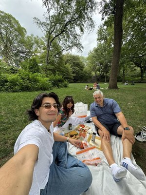 The Great Lawn by null