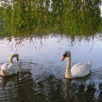 Stanley Park - Parks Near Me - Vancouver, British Columbia