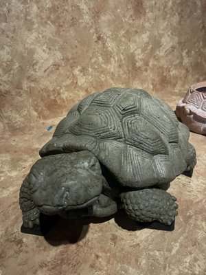 The Thirsty Turtle by null