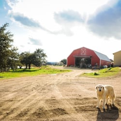 Veldhuizen Cheese Shoppe