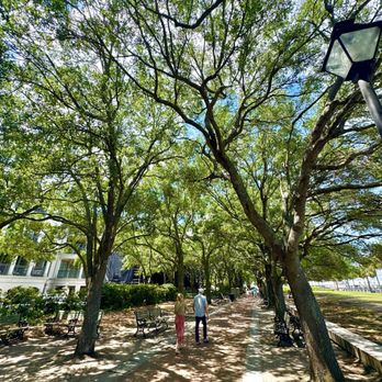 Joe Riley Waterfront Park - Park walking path and general vibe - Parks Near Me - Charleston, South Carolina Joe Riley Waterfront Park - Park walking path and general vibe - Parks Near Me - Charleston, South Carolina