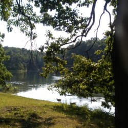 Fellows Lake Marina