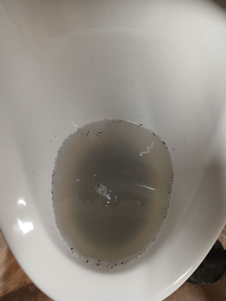 Slide of Fullerton Plumbing And Drain Cleaning