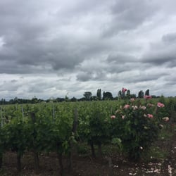 Château Cantenac - Vineyard