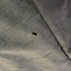 Mayflower Motel - Disgusting sheets and room