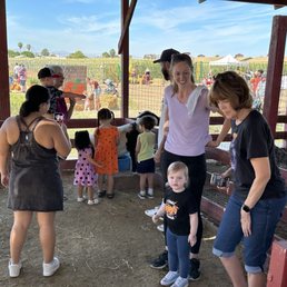 Petting zoo Petting zoo