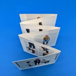 Bestype Printing - Accordion-fold Brochure printed for Dolce Vita Shoes in NYC
